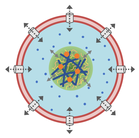 LLPS – EmBioSys Lab