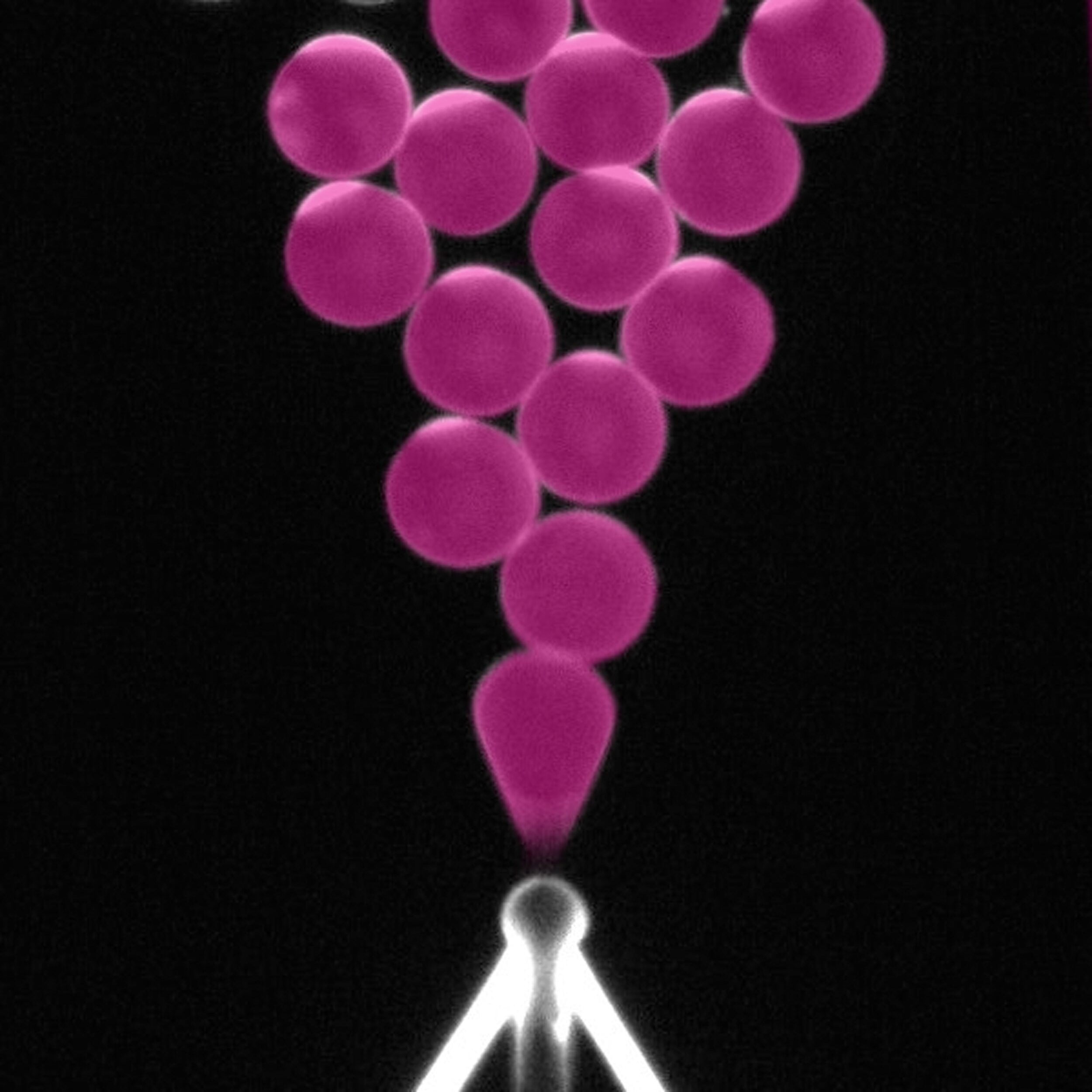 OLA_left to right – EmBioSys Lab