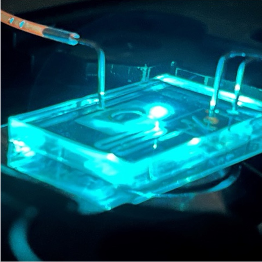 Research – EmBioSys Lab